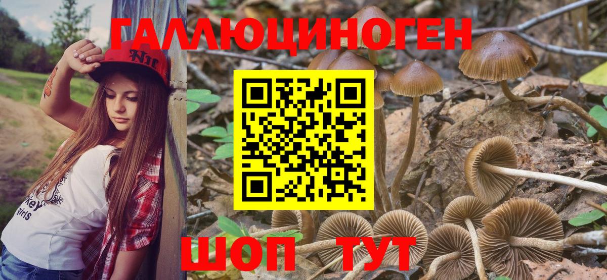 Псилоцибиновые грибы мицелий  Вход с VPN  Верхняя Пышма 